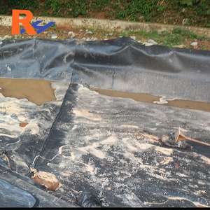 <span class=keywords><strong>Azolla</strong></span> แผ่นซับน้ำสำหรับบ่อน้ำแผ่นบุผนัง HDPE geomembrane สำหรับของเสียและน้ำป้องกันเรดอน - Product Image 3