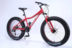 Fabricants de fourches en acier de 24 et 26 pouces, vente en gros, vélo de montagne et de plage à gros pneus larges de 4,0 pouces avec <span class=keywords><strong>roue</strong></span> creuse - Product Image 5