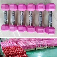 Vente en gros 2-25lbs 2.5-25kgs équipement de fitness en fonte ensemble d'haltères hexagonaux en caoutchouc coloré pour salle de sport à domicile et haltérophilie