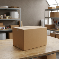 Boîtes en carton ondulé rigide à double paroi écologiques, en kraft brun, pour l'emballage, l'expédition et le déménagement de boissons en vrac