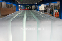 Machine à glace en blocs industrielle haute productivité de 3 tonnes SINDEICE SDAB 3T pour la logistique de stockage