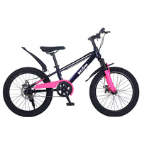 Nouveau vélo BMX 20 pouces avec pneus haute performance, haut-parleurs Bluetooth sans fil et cadre LED clignotant pour enfants et adolescents