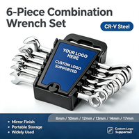 Jeu de clés mixtes métriques 6 pièces en acier CR-V, kit de clés à anneau ouvert 8-17 mm, personnalisable OEM, qualité industrielle, marque Titan, plastique