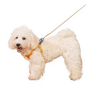 引っ張らない犬用ハーネスとリード - 小型犬用調節可能なソフトパッド入りベスト（漫画プリント） - Product Image 1