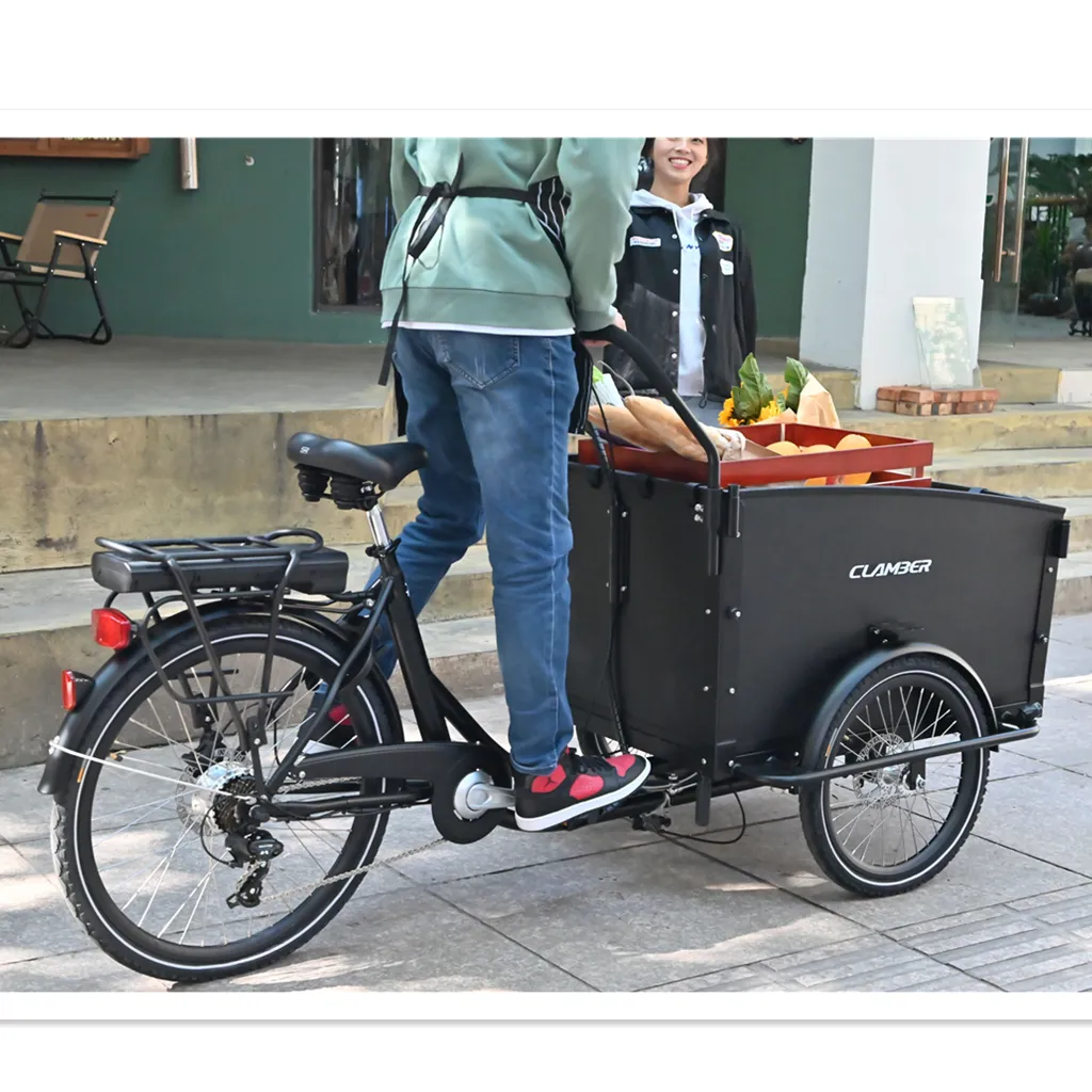 Magazzino europa stock elettrico 3 ruote cargo bike 250W mobilità rimorchio bicicletta vendita calda bici olandese