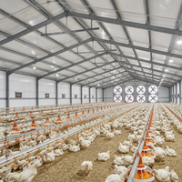 Nave Prefabricada de Acero para Granja Avícola, Panel Sándwich Aislado, Gallinero para Ganado
