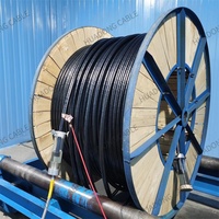 3,3 kV 3-adrig 16mm 25mm 35mm 50mm 70mm 95mm 120mm 150mm 185mm 240mm 300mm 400mm SWA PVC-Kabel