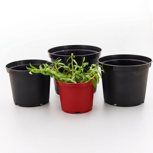 Petits pots de semis en plastique rose pour horticulture, pots de culture en PP pour micro-légumes et fraises, film plastique pour serre - Product Image 2