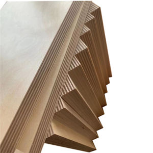 <span class=keywords><strong>Compensato</strong></span> di betulla completa per il taglio Laser 3 <span class=keywords><strong>mm</strong></span> 6 <span class=keywords><strong>mm</strong></span> 9 <span class=keywords><strong>mm</strong></span> WBP <span class=keywords><strong>foglio</strong></span> di <span class=keywords><strong>compensato</strong></span> di betulla laminato fenolico - Product Image 6