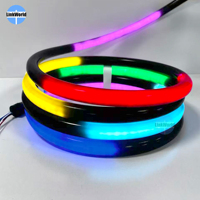 Bande LED néon flexible OEM 360 RGB SPI Pixel 12V 24V, lumière de corde flexible 22mm 25mm 30mm, noir blanc, DMX, silicone
