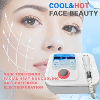 WEIYI-dispositivo Facial para electroporación en frío y caliente, dispositivo 3 en 1, sin aguja, para mesoterapia, D101
