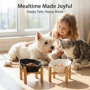 Comedero elevado de cerámica para gatos con soporte de bambú, tazón elevado para gatos de interior y perros pequeños - Product Image 5