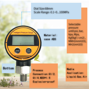 QDB108 सर्वोत्तम मूल्य 50बार डिजिटल प्रेशर गेज - Product Image 5