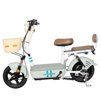 Vélo électrique abordable 350W sans balais, longue autonomie, pneus sous vide 14"*250, batterie 48V/12AH, 50km d'autonomie, pour une utilisation écologique