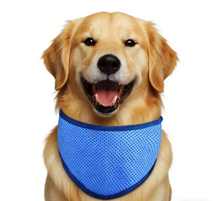 Collar Refrigerante para Mascotas, Nuevo Modelo 2026, Personalizable, Cómodo, Portátil, Reutilizable, para Perros y Gatos, Bufanda Refrigerante para Verano, Material PVA - Product Image 1