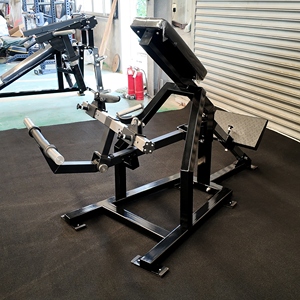 Rangée de levier d'équipement de gymnastique de haute qualité pour machine de musculation de gymnastique rangée de levier RELOADED nouvelle conception Offre Spéciale - Product Image 5