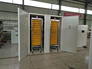 Trung Quốc Công Nghiệp Để Ấp <span class=keywords><strong>10000</strong></span> Trứng Lò Ấp Trứng Ấp Trứng Giá Máy Gia Cầm Ấp Trứng Tự Động HS-9856 Lồng Ấp Trứng Gà - Product Image 5