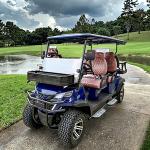 <span class=keywords><strong>2025</strong></span>년 신형 고속 전기 골프 카트 맞춤형 성인용 골프 카트 버기 - Product Image 1