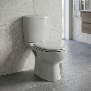 Modern Ceramic Two Piece Close Coupled Water Closet Toilet P Trap Washdown <b>Back</b> To Wall Floor Mounted WC - Product Image 1