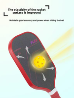 Ensemble de raquettes de pickleball en fibre de carbone T700 standard USAPA, noyau en nid d'abeille, cadre en fil de titane, raquette de pickleball professionnelle Omni