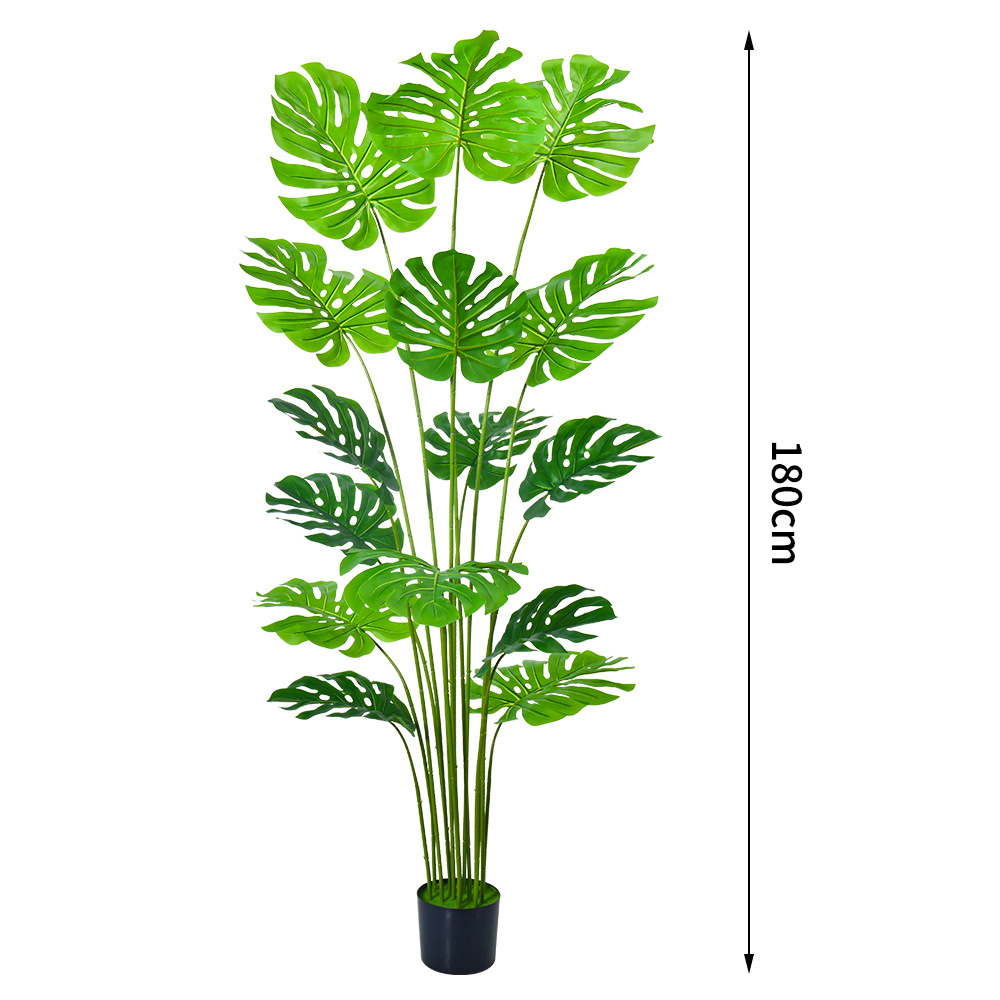 180cm monstera [viene con una maceta de plástico negro]