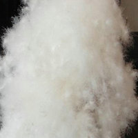 Haute température nettoyée en duvet et plumes de canard, d'oie, gris et blanc, lot de 10