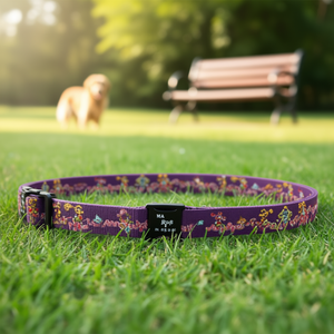 Collare Premium per Animali Domestici con Anello in PU a Doppia Perla e Piastra Colorata in Ferro da 2,0 cm - Product Image 2