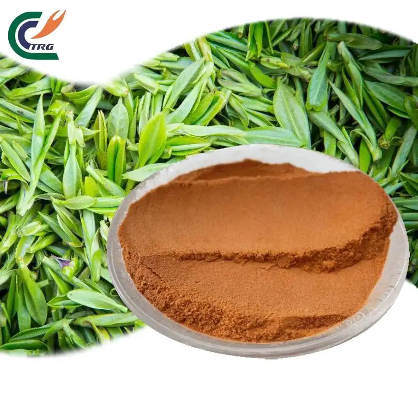 תה ירוק אורגני תמצית תה 40% פוליפנול טבעי קטצ 'ן פוליפנולים