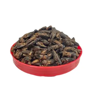 Makanan hewan peliharaan serangga kering kriket kering dapat dimakan protein tinggi crickets kering