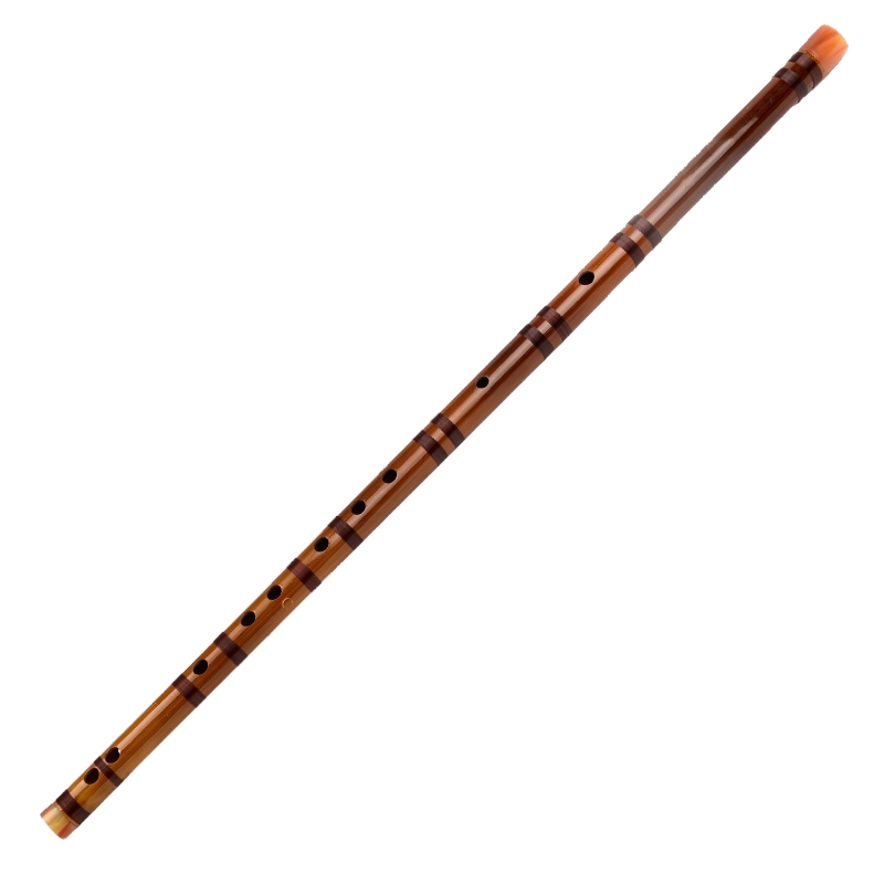 Flûte standard à section unique brune [touche D]
