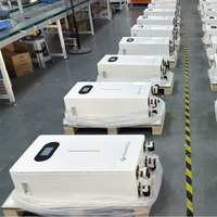 STOCK US Lithium utilisé dans les batteries Srne Inverter 48v 51.2v Batterie Lithium 15 Kva 16kwh 200ah Batterie primaire au lithium-ion