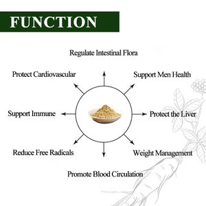 Baixo preço Ashwagandha raiz extrato pó 2,5% indiano <span class=keywords><strong>Ginseng</strong></span> suplemento nutricional - Product Image 2