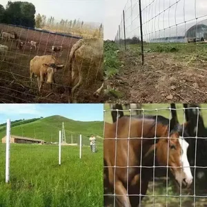 Sığır at koyun çiftliği kırsal Panel çiftlik çiti için galvanizli sabit düğüm alan tel menteşe çit