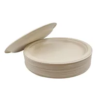 Assiettes jetables biodégradables en pulpe de canne à sucre, sans PFAS, 10 pouces, compostables, en fibre de bagasse