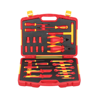 Jeu de clés à douilles à cliquet isolées 16 pièces avec option OEM, comprenant une clé en T et une boîte en plastique