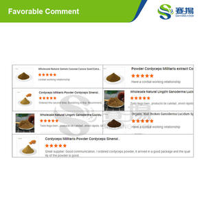 赤唐辛子トウガラシ粉末天然パプリカオレオレジンオイルISO工場供給食品グレード - Product Image 3