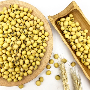 Grains <span class=keywords><strong>de</strong></span> <span class=keywords><strong>soja</strong></span> crus <span class=keywords><strong>de</strong></span> haute qualité, en sachet, graines <span class=keywords><strong>de</strong></span> <span class=keywords><strong>soja</strong></span> en vrac biologique pour aliments - Product Image 6