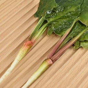 PU Artificial Spinach Model Lifelike Fake Vegetable Food <b>Prop</b> for Halloween Thanksgiving <b>Stage</b> Farm Scenery Display - Product Image 3