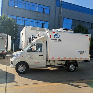 Foton 4x2 1.5-2T Mini Gasoline Refrigerator Truck Customization Transport Vegetable Meat Egg Freezer Refrigerated Truck - Product Image 4
