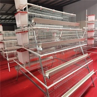 Cage à poules pondeuses de type A pour 160 oiseaux, en acier galvanisé, nouvelle, pour usage domestique, équipement agricole automatique