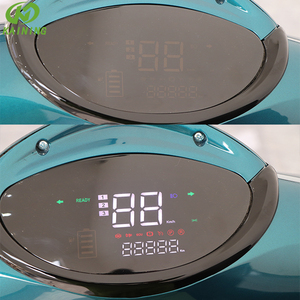 Motocicleta Eléctrica de 2000 W, Scooter Potente de Dos Ruedas, Modelo Ls-juyou, Peso 150 kg - Product Image 4