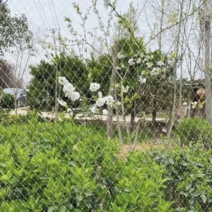 <span class=keywords><strong>Rete</strong></span> Anti-Uccelli in <span class=keywords><strong>Nylon</strong></span> <span class=keywords><strong>Trasparente</strong></span> di Alta Qualità per Balconi e Sicurezza - Product Image 4