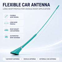 Antenne de toit universelle longue et fine pour voiture, avec base intégrée, couleur personnalisée, OEM pour auto, SUV, camion