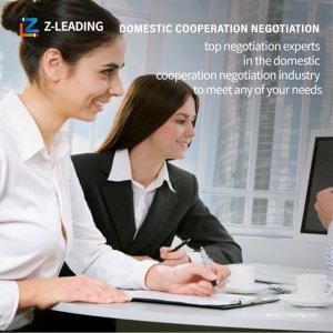 Z-leading Logistics Solutions LCL+Express pour la France Expédition de marchandises dangereuses Manutention 24h/24 et 7j/7 Assistance efficace des services portuaires - Product Image 5