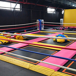 สวนแทรมโพลีนสำหรับเด็กผู้ใหญ่อุปกรณ์สวนแทรมโพลีนขนาดใหญ่ในร่ม - Product Image 3