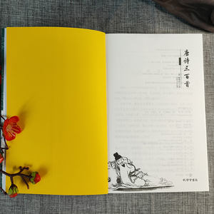 Trois cents <span class=keywords><strong>poèmes</strong></span> Tang, collection complète, édition authentique, annotations des savants retraités de Hengtang, traductions - Ancien - Product Image 5