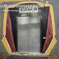 Porte coulissante en acier inoxydable, verre trempé, luxe moderne, pivotante, pour hôtel