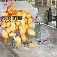 China Fabriek Prijs Goede Kwaliteit Compleet Vers Fruit Pulp Puree Productie Plant