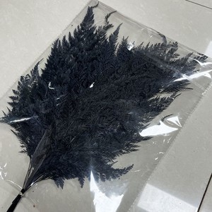 Foglie di Felce Fiocco di Neve Essiccate Eterne, Foglie di Felce Artificiali Lunghe 55cm, Decorazione Duratura per San Valentino - Product Image 3
