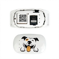 Traceur GPS 4G pour animaux de compagnie, localisateur de chien et de chat en temps réel, étanche, anti-perte, dispositif de suivi, charge magnétique
